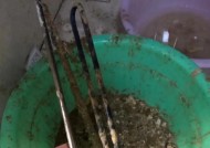 如何清洗热水器阀门的水垢（简单方法让你的热水器阀门恢复正常流量）