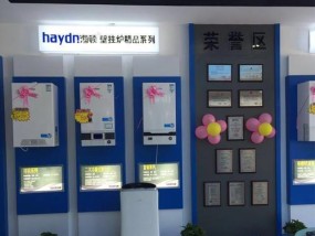 海顿壁挂炉漏水原因及维修方法（探究壁挂炉漏水的根源和解决方案）