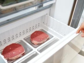 消除冰箱中肉类异味的有效方法（简单）