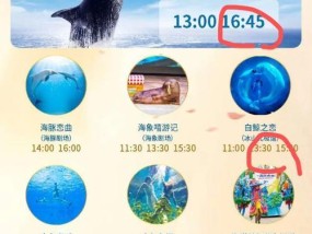 海洋馆内如何使用数码相机拍摄？