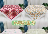 电脑画面缩小了怎么办（解决电脑屏幕缩小的方法及注意事项）