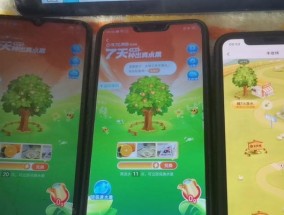 红包助手现金天天领怎么用？常见问题有哪些解决方法？