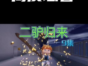 二驴手机摄像头的正确使用方法是什么？使用中可能遇到哪些问题？