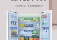如何选择适合家庭使用的卧式冰箱（选购冰箱时需注意的关键因素及品牌推荐）