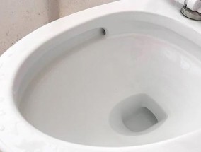 解决浪鲸马桶持续响声的方法（如何修复马桶抽水一直响的问题）