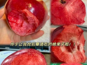 苹果桃子充电器的正确使用方法是什么？