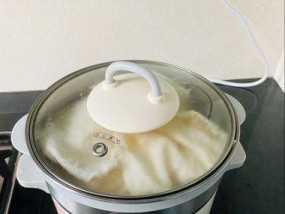 电饭煲蒸米饭溢出的原因及解决方法（探究电饭煲蒸米饭溢出的问题和解决方案）