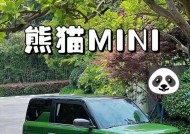 电瓶车携带熊猫上路的法律规定？