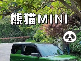 电瓶车携带熊猫上路的法律规定？