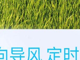 电风扇定时后才转动是什么原因？如何解决？