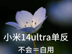 小米手机如何拍出清晰好看的照片？有哪些拍摄技巧？