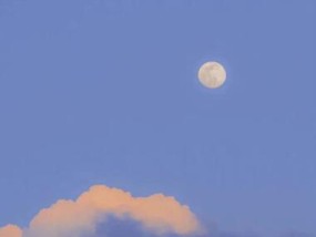 苹果手机壁纸尺寸调整方法？