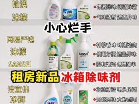 解决冰箱异味的有效方法（去除冰箱异味的实用技巧及注意事项）