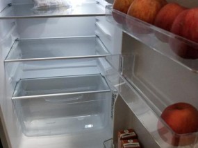 双门海尔冰箱持续滴滴叫的故障解决方法（如何消除双门海尔冰箱持续滴滴叫的报警声音）