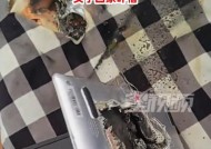 解决笔记本电脑过热问题的有效方法（保护笔记本电脑）