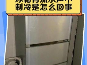 冰柜不制冷的原因及解决方法（探究冰柜失去制冷功能的原因）