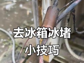解密冰柜冰堵背后的原因与解决方法（揭秘冰柜冰堵现象的成因及如何应对）