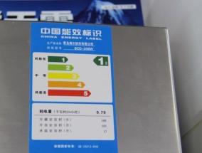 冰柜冷冻温度调节方法大揭秘（掌握关键技巧轻松调节冰柜温度）