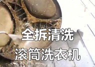 如何清洗滚筒洗衣机密封条污垢（有效清洁方法及注意事项）