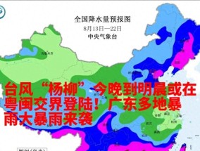 台风“杨柳”今晚到明晨在粤闽交界登陆,广东多地暴雨大暴雨来袭