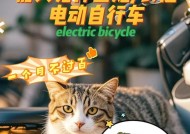 申港租电瓶车怎么租？需要哪些手续和费用？