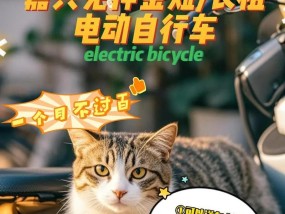 申港租电瓶车怎么租？需要哪些手续和费用？