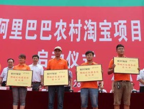 最新农村淘宝打开方式是什么？如何利用新功能提高购物体验？