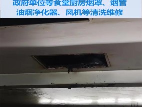 如何清洗厨房油烟机的有效方法（轻松解决厨房油烟机清洗难题，让家居环境更清新）