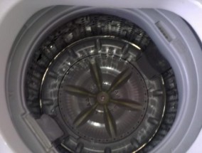 如何正确清洗立式全自动洗衣机（简单易学的清洗方法）