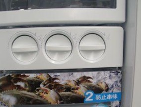 LG冰箱漏电的原因及解决办法（保障家居安全）
