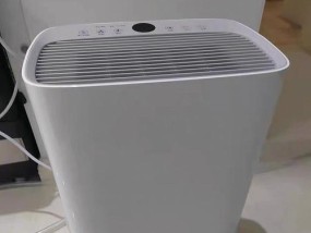 2024年最新十大除湿机品牌排行榜揭晓（从性能到品质）