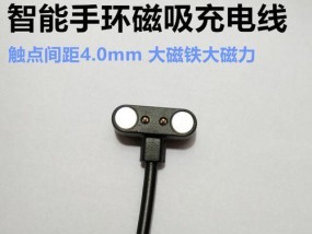 两针充电器的正确名称是什么？