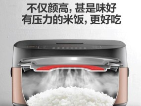 电饭煲维修工程说明（全面解析电饭煲维修方法与技巧）