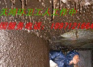 清洗油烟机污水处理方法及其环保效果（探索清洗油烟机污水处理的创新技术，实现环保生活）