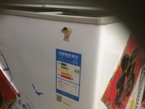 冰柜淋水导致漏电的危险与应对措施（保障家庭安全）