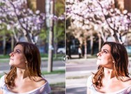 如何在Photoshop中批量导入xmp预设？遇到问题怎么办？
