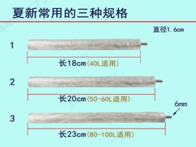 如何使用热水器上的镁棒进行清洗（掌握清洗热水器的小窍门）