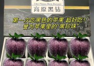 苹果手机壳黑钻款式的特性是什么？它与其他壳有何不同？