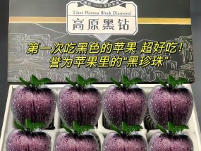 苹果手机壳黑钻款式的特性是什么？它与其他壳有何不同？