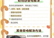解决立式洗衣机滚筒松动的方法（让洗衣机滚筒固定稳定）