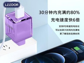 过充定时保护充电器具体是什么意思？