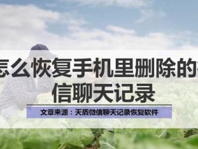 如何查找手机版微信的聊天内容（简便有效的方法帮助你找到丢失的微信聊天记录）