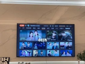 显示器屏幕黑线修复方法（解决显示器屏幕上的黑线问题）