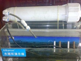 如何处理净水器膜坏了的问题（净水器膜损坏解决方案及维修方法）