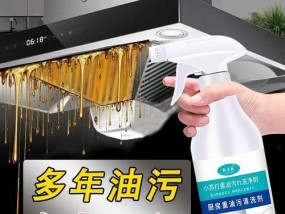 苏打清洁大法（用苏打轻松清洗油烟机）