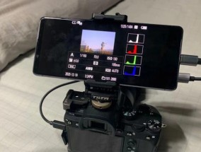 相机显示器出现条纹是怎么回事（了解条纹问题及解决方法）