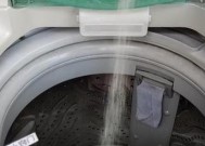 如何清洗涡轮洗衣机内部污垢（拆解和维护是关键）