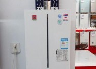 樱花热水器E4代码故障原因及在线维修方法（了解E4代码故障）