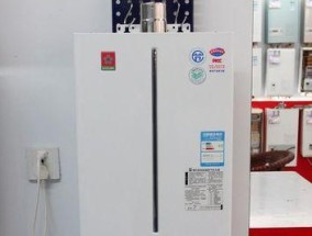 樱花热水器E4代码故障原因及在线维修方法（了解E4代码故障）