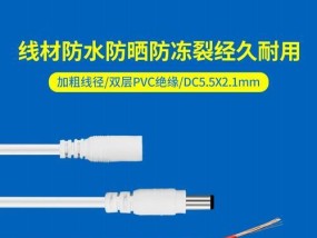 路由器蓝色线延长代表什么？有何特殊用途？